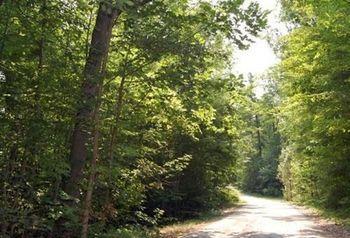 St. Clair Camping Resort Marysville Kültér fotó